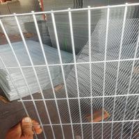 Galvanized Steel Wire Mesh for Aviaries and Seedbed Fencing