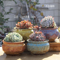 Breathable Ceramic Succulent Planter Pot Set with Drainage for Indoor Outdoor Plants