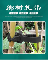 Plastic Tree Binding Strap for Gardening and Agriculture