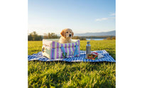 Dog Adjustable Straps Vehicle Pet Bed Wipe-Clean Transport Pet Carrier for Road Trips