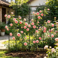 Pointed Arch Plant Trellis Decorative Archway Outdoor Decor Heavy-Duty
