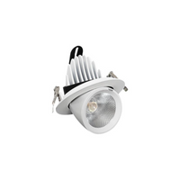COB LED Ceiling Spotlight, Adjustable