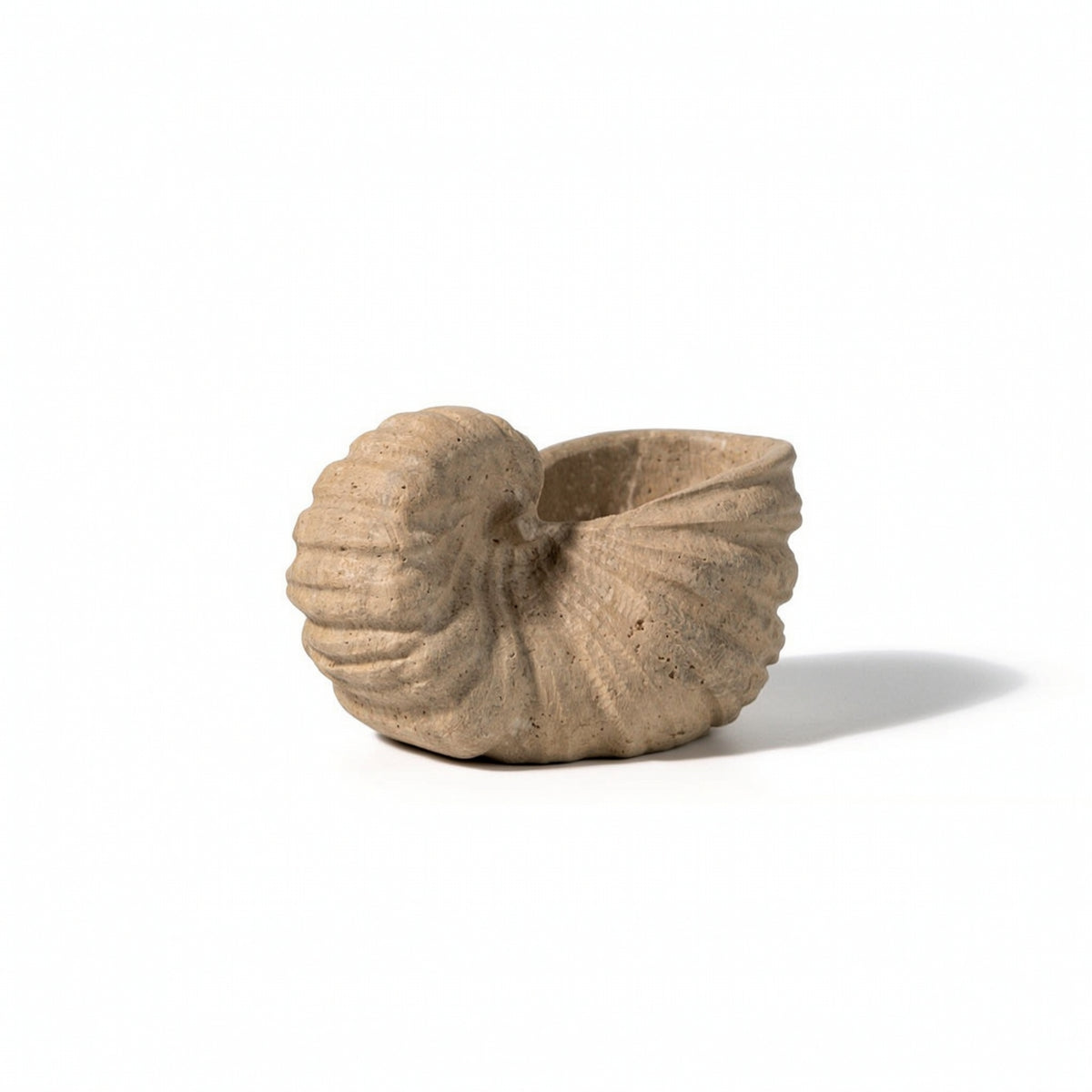 Mineral Conch with Hollow Top Handcrafted Beach Conch Statue Sculptural Decor for Coffee Table