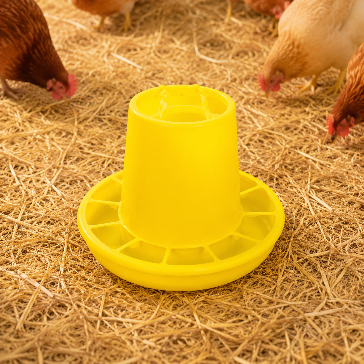 Poultry Feeder Bucket Yellow Chicken Feeder for Chicks, Duck, Quail, Hen, Smallholding