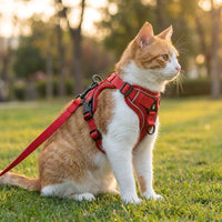 Cat Harness and Leash Set, Polyester Vest Style Adjustable Walking Harness for Outdoor Use, Secure Non-Retractable Cat Walking Leash Accessory