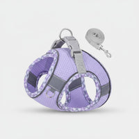 Dog Harness and Leash Set Lightweight Effortless-Entry Puppy Harness Quick Release Buckle Breathable Mesh Pet Vest for Small Dogs, Young Dogs, Outdoor