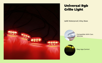 APP RGB car grille light