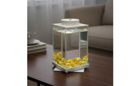 Desktop Fish Tank with Light Compact Size Desktop LED Aquarium Panoramic View Rotating Betta Tank for Beginners, Kids, Office, Bedroom