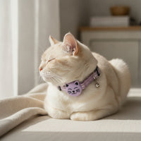 Waterproof Cat Collar with Tracker Bluetooth Cat Tracker No Monthly Fee Pet Tracking Collar Long Battery Life for Cats, Kittens, Outdoor, Travel