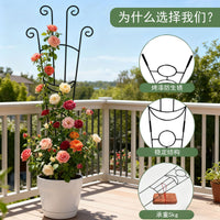 跨境植物攀爬架 植物支撑架 蝴蝶小鸟花架爬藤架园艺拆装固定杆