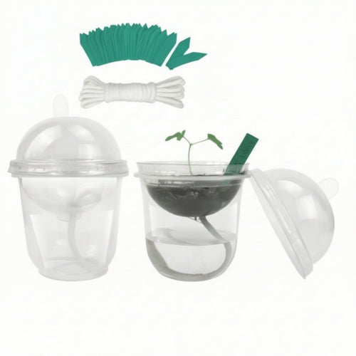 30 Pieces Self-Watering Seedling Cup with Dome Transparent for Teachers