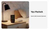 Radio Frequency bands/AM Bluetooth Radio Rechargeable MP3 Player TF Card Support