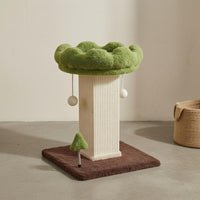 Scalloped Edge Scratching Post Cat Tree Hanging Ball Toys Small Cat Tree Green and Brown Sisal Scratching Post Stable Base