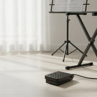 Low-Noise Sustain Pedal with 6.5mm Plug Anti-Slip Electronic Keyboard Sustain Pedal Compact Responsive for Pianists, Home Practice, Live Performance, Studio Recording