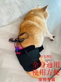 宠物红外线红光理疗腰带骨刺髌骨折腰椎髋关节颈椎猫狗光疗烤灯垫
