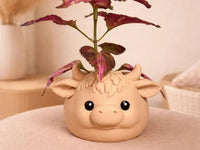 Highland Yak Plant Succulent Flower Pot Decorative Creative Ornament