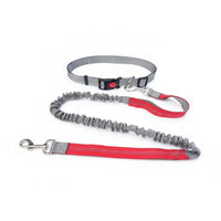Elastic Leash and Collar Combo Flexible Adjustable Collar Leash Set Metal D-Loop Pet Gear Snap Hook for Walking, Control