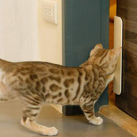Pet Door Insert Rounded Rectangular Automatic Pet Door Easy to Install