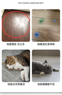 铁艺宠物行军床家用中小型犬防潮离地宠物床四季通用狗床猫窝凉垫