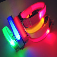 USB Rechargeable LED Luminous Pet Collar for Small to Large Dogs