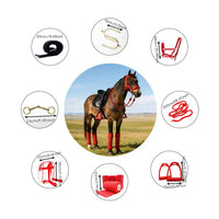 8 Pieces 8 in 1 Equestrian Accessory Kit Multiple Colors Available for Beginners