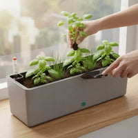 Vegetable Growing Container Narrow Border Design Plastic Window Box for Balcony