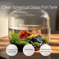Desktop Glass Fishbowl Set, Mini Betta Aquarium Habitat