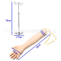 IV Infusion Arm Model for Nurse Training