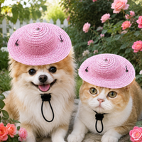 Cat Straw Hat, Adjustable Pet Sun Hat with Chin Strap, Perfect for Birthday Parties and Vacations, Bright Red, 10-60cm