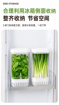 Hydroponic Fresh-Keeping Container for Scallions, Cilantro, Garlic, Mint, and Asparagus
