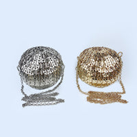 Silver Sequin Handwoven Spherical Box Bag