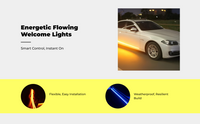 App-controlled RGB car door light