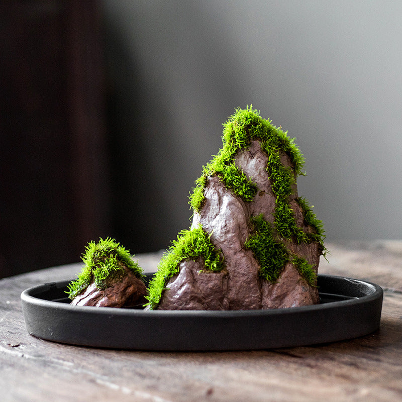 Zen Style Absorbent Stone Micro Landscape Bonsai with Moss
