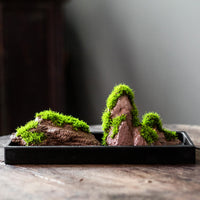 Zen Style Absorbent Stone Micro Landscape Bonsai with Moss