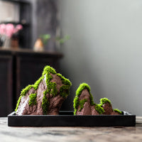 Zen Style Absorbent Stone Micro Landscape Bonsai with Moss
