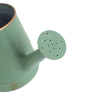 Iron Watering Can with Long Spout for Garden Use, 1.5L