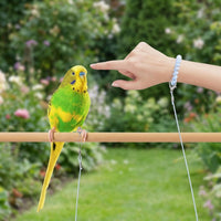 Parrot Leash with Elastic Bird Leash Cord, Foot Loop Harness Leash and Training Rope, Adjustable Training Design for Parrot Outdoor Training Activity