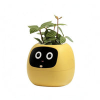 Face Planter One-Piece Desktop Planter Space-Saving