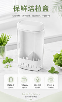 Hydroponic Fresh-Keeping Container for Scallions, Cilantro, Garlic, Mint, and Asparagus