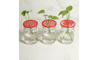 3 Pieces Openwork Propagation Tray Lid Round Propagation Lid Plastic Reusable for Gardeners, Growers, Hydroponics, Windowsill