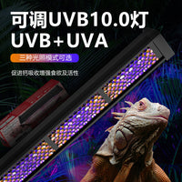 Reptile UVB 10.0 Basking Light Bar, 4W/8W/12W, DC12V, US Plug