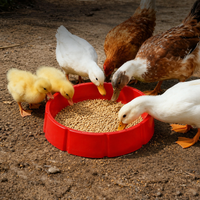 Chicken Feeding Trough, Large Plastic Round Feeder, Chick Feeder, Poultry Feeding Tool
