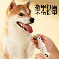 新家用宠物理发器剃脚毛电推剪USB充电宠物剃毛器多功能款磨甲器