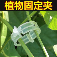 绿植果树植物固定夹卡扣藤蔓固定器秧苗爬藤支撑杆果蔬秧苗吊夹