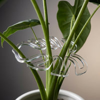 Indoor Plants and Outdoor Plants Support for Climbing Plants, Aesthetically Pleasing Clear Monstera Plant Support, Single Plastic Plant Sticks