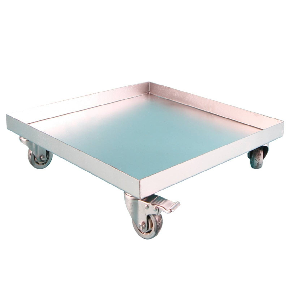 Plant Tray with Wheels Leakproof Hardware Rust-Resistant for Gardeners