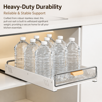 Cabinet Dish Rack, Stainless Steel Rack 42x30x9cm, Telescopic Movable Dish Rack with Drip Tray, Pull Out Drainer for Organised Kitchen