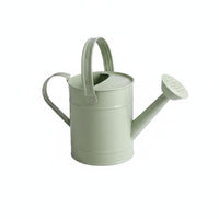 Metal Watering Can Perforated twoHandle Watering Can Ergonomic Grip