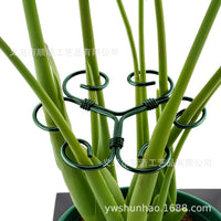 Metal Plant Support Stakes for Vertical Gardens