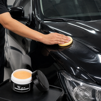 car wax kit